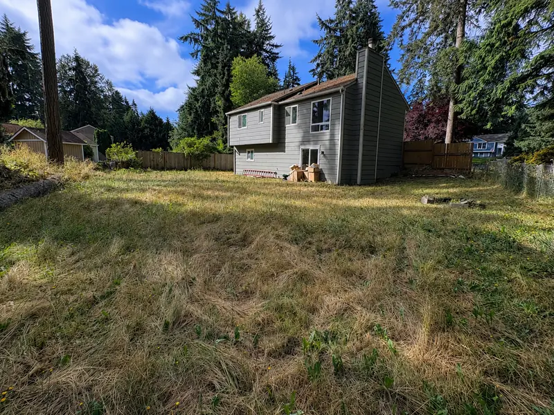 The same backyard before, overgrown and weedy