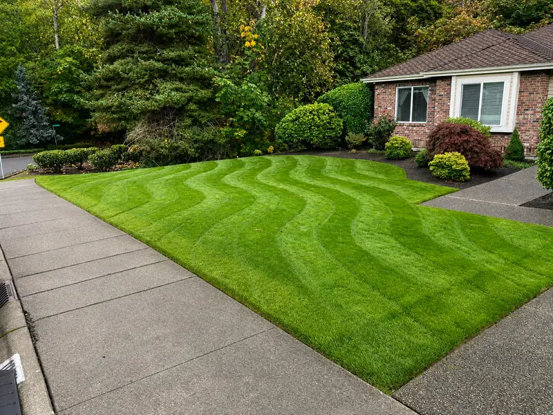 Front lawn mowed with clean curved stripes